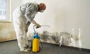 Biohazard Mold Removal in Greenfield, IL